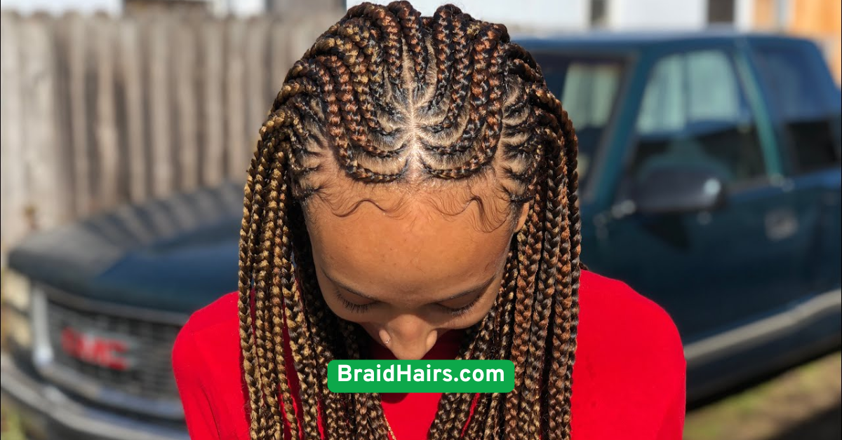 Boxer Braids