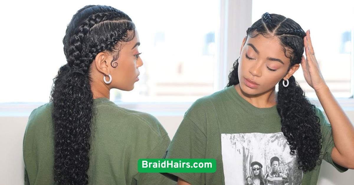 Twin Braids (Pigtail Braids)