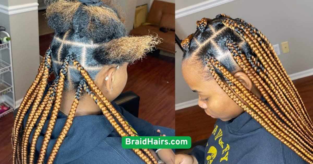 Boxer Braids