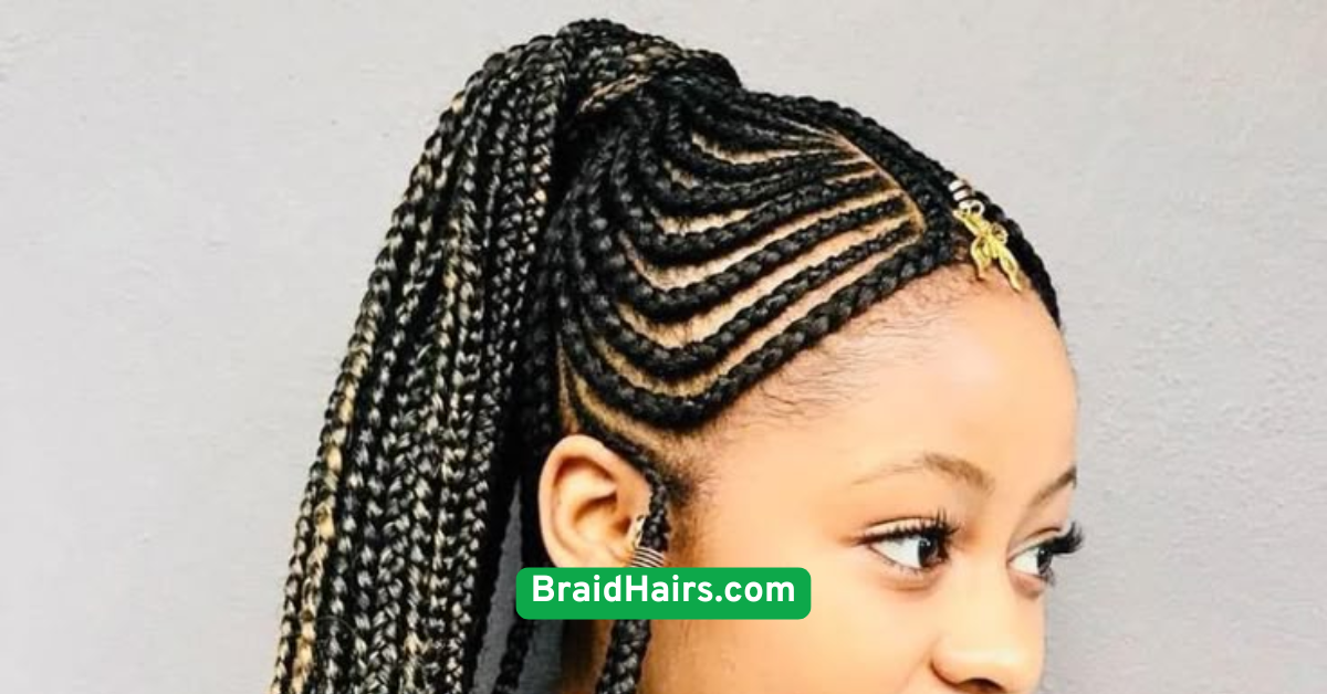 Braided Ponytail