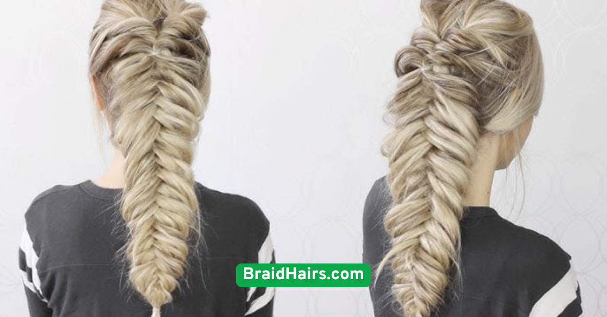Halo Braid