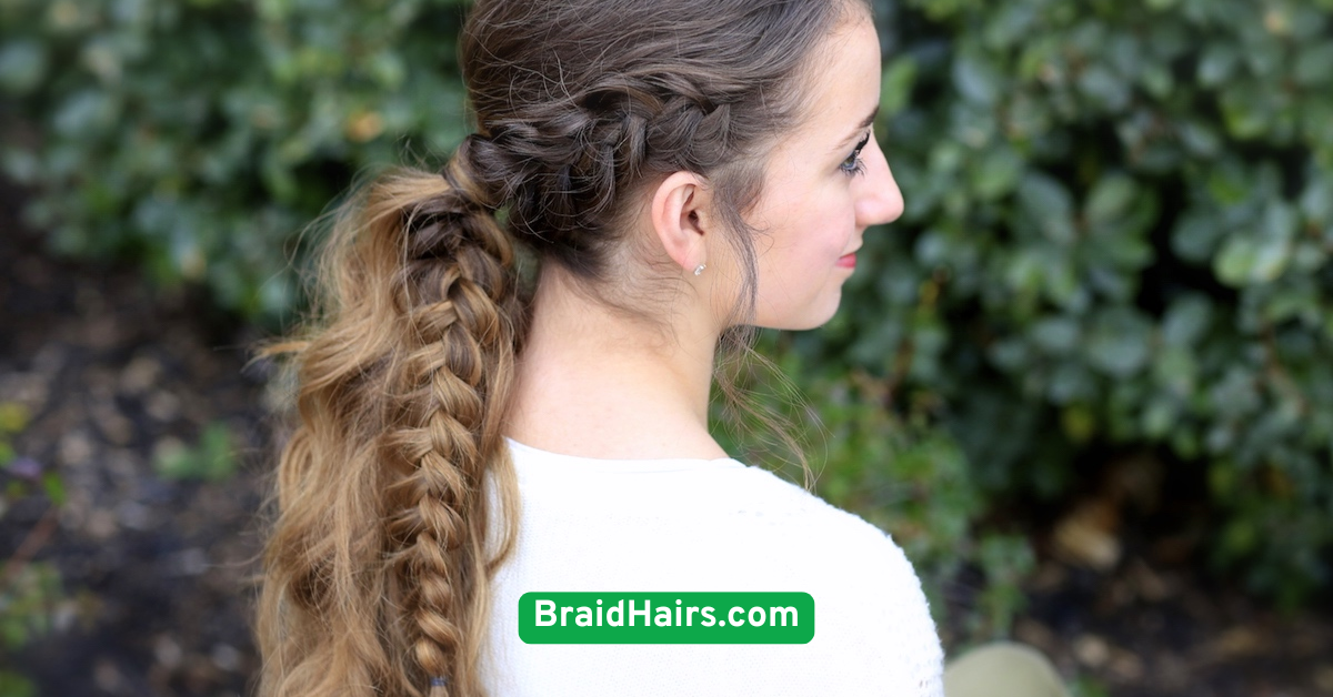 Braided Ponytail