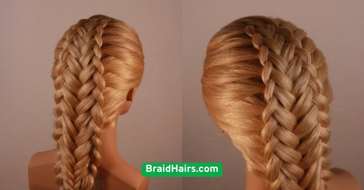 Infinity Braid