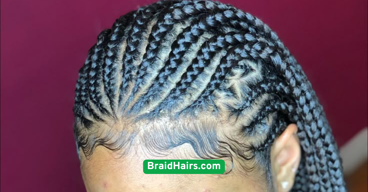 Feed-In Braids