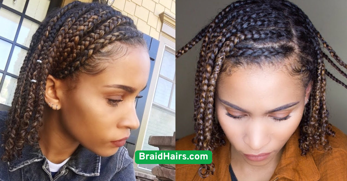 Protective Braided Styles