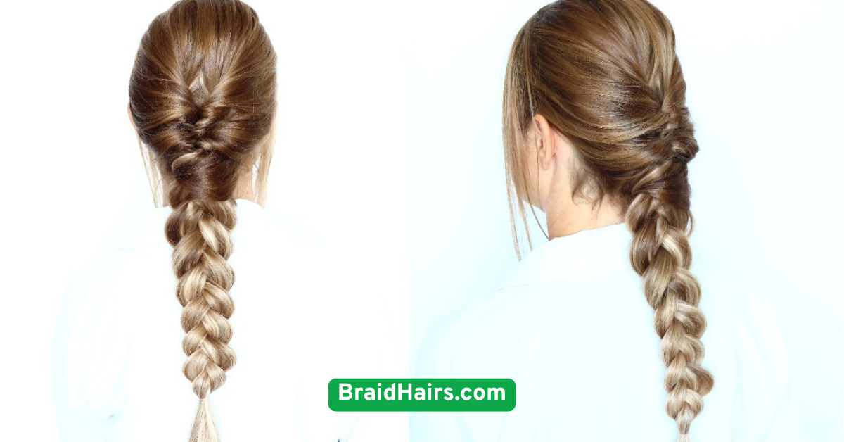 Boxer Braids