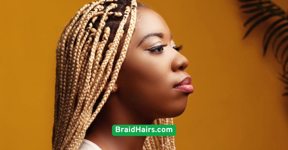 Boxer Braids (Double Dutch Braids) 