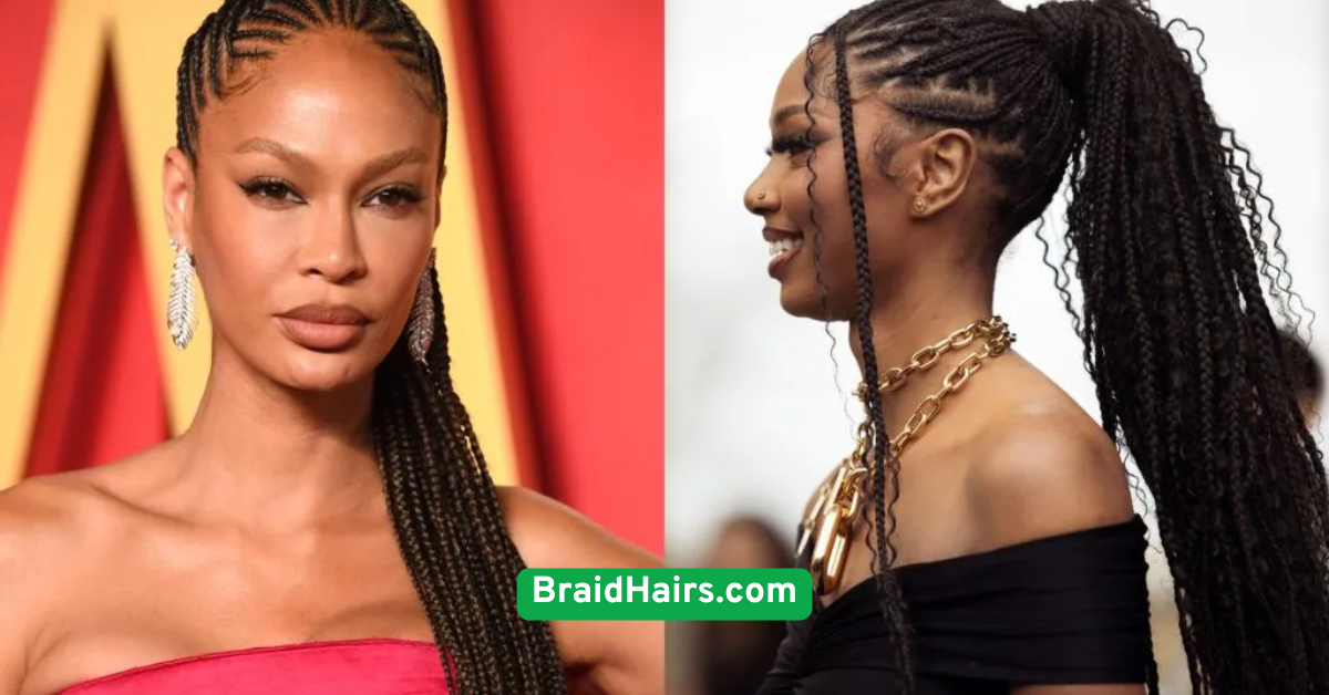 Boxer Braids