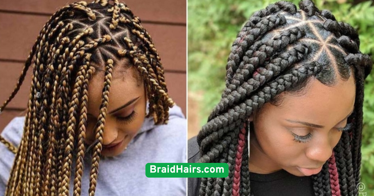 Boxer Braids