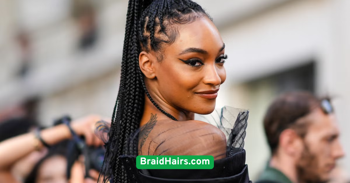 Box Braids (for Daily Styling)