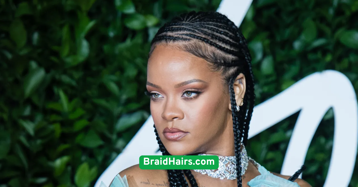 Braided Ponytail Glam
