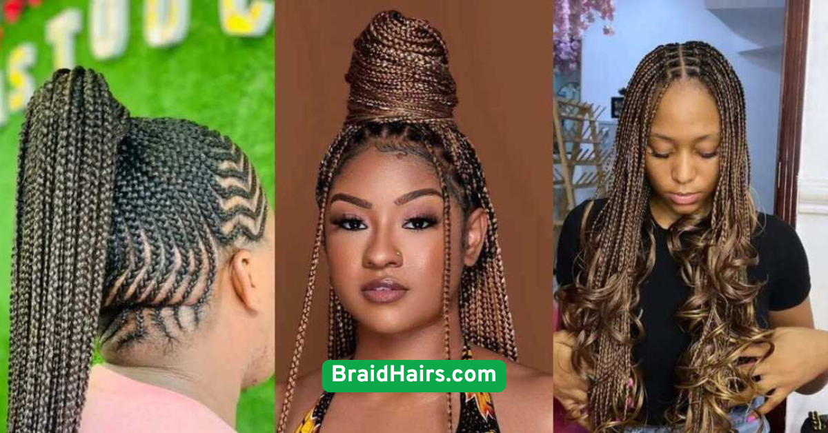 Boxer Braids