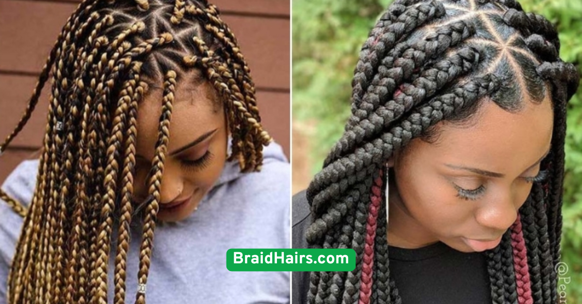 Boxer Braids